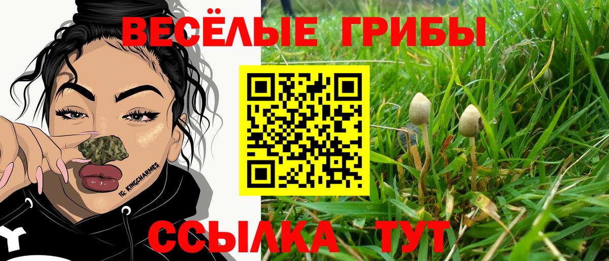 Псилоцибиновые грибы мухоморы  Вход с VPN  Нягань 
