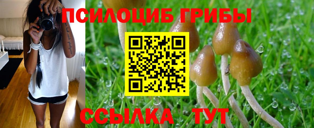 Галлюциногенные грибы MAGIC MUSHROOMS Нягань